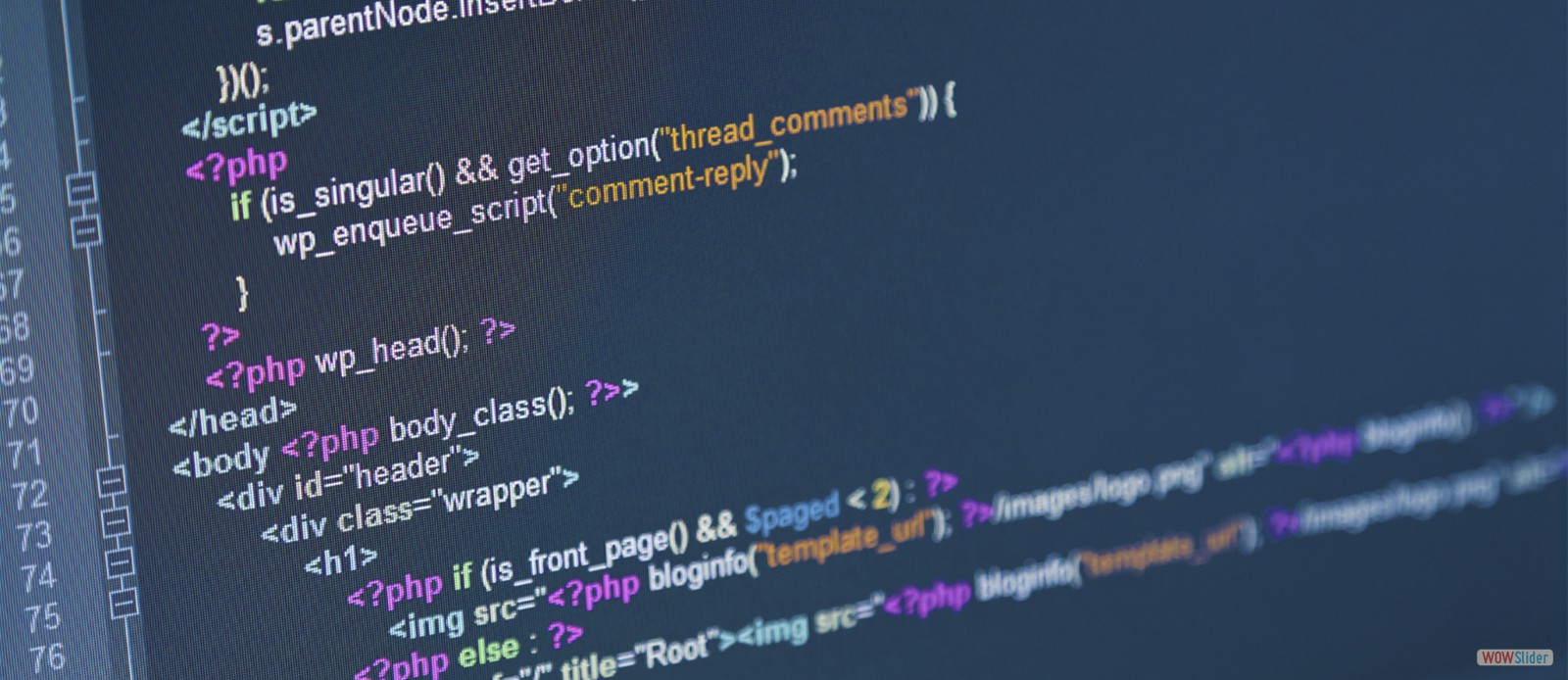 Software Development and Web Design Virtual Global Technology